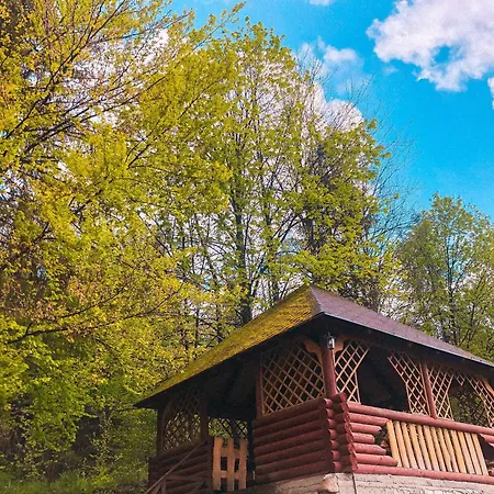 газдівська Hotel *